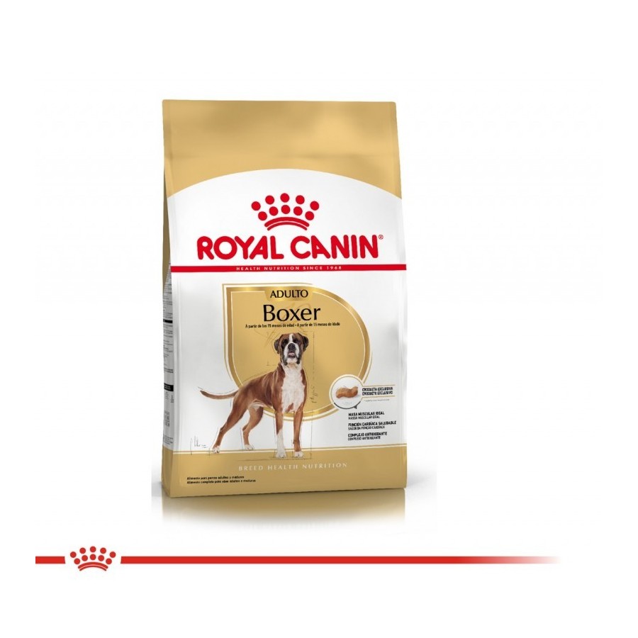 Royal Canin Boxer Adulto x 12 kg