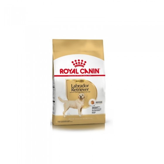 Royal Canin Labrador Retriever Adulto x 12 kg