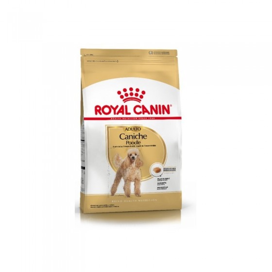 Royal Canin Caniche Adulto x 7.5 kg. 30% OFF!