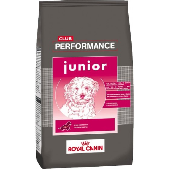 Performance Cachorros x 15 kg OFERTA BAHIA
