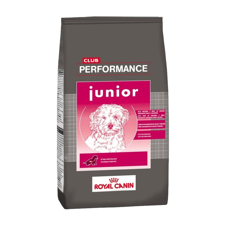 Performance Cachorros x 15 kg OFERTA BAHIA
