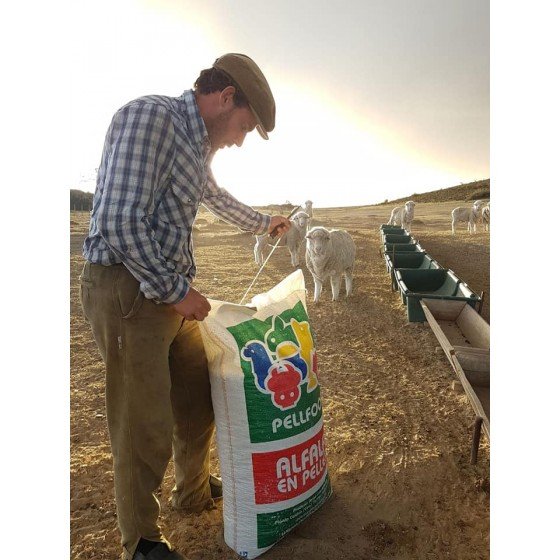 Pellet de Alfalfa 10 bolsas de 25kg