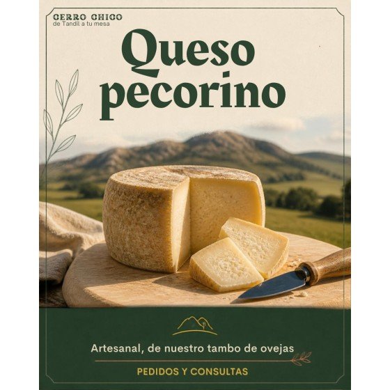 Queso de Oveja tipo Pecorino x 900g