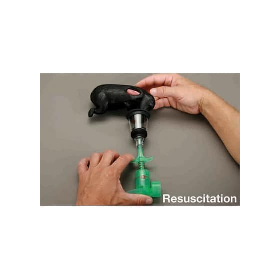 Kit RCP para Cachorros